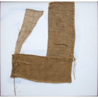 Hessian on White, 2006