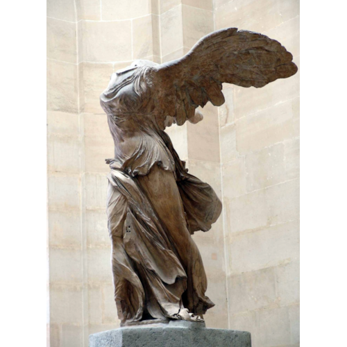 The back  - duplicate