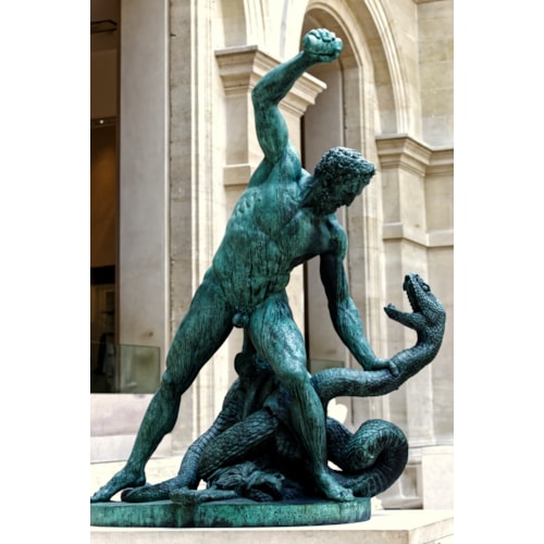 The snake fight  - duplicate