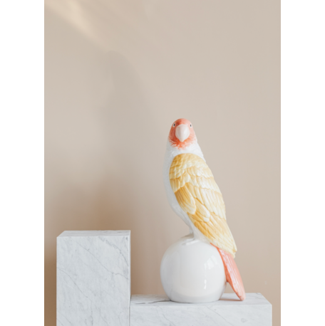 Bird on Ci 