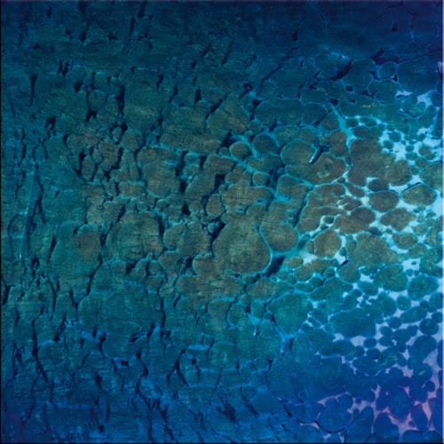 SIX SQUARE SAMPLE TILES