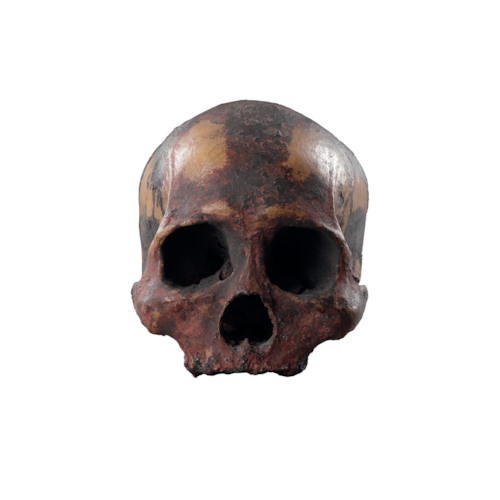A Rare Ancestor Skull with Polychrome Decoration