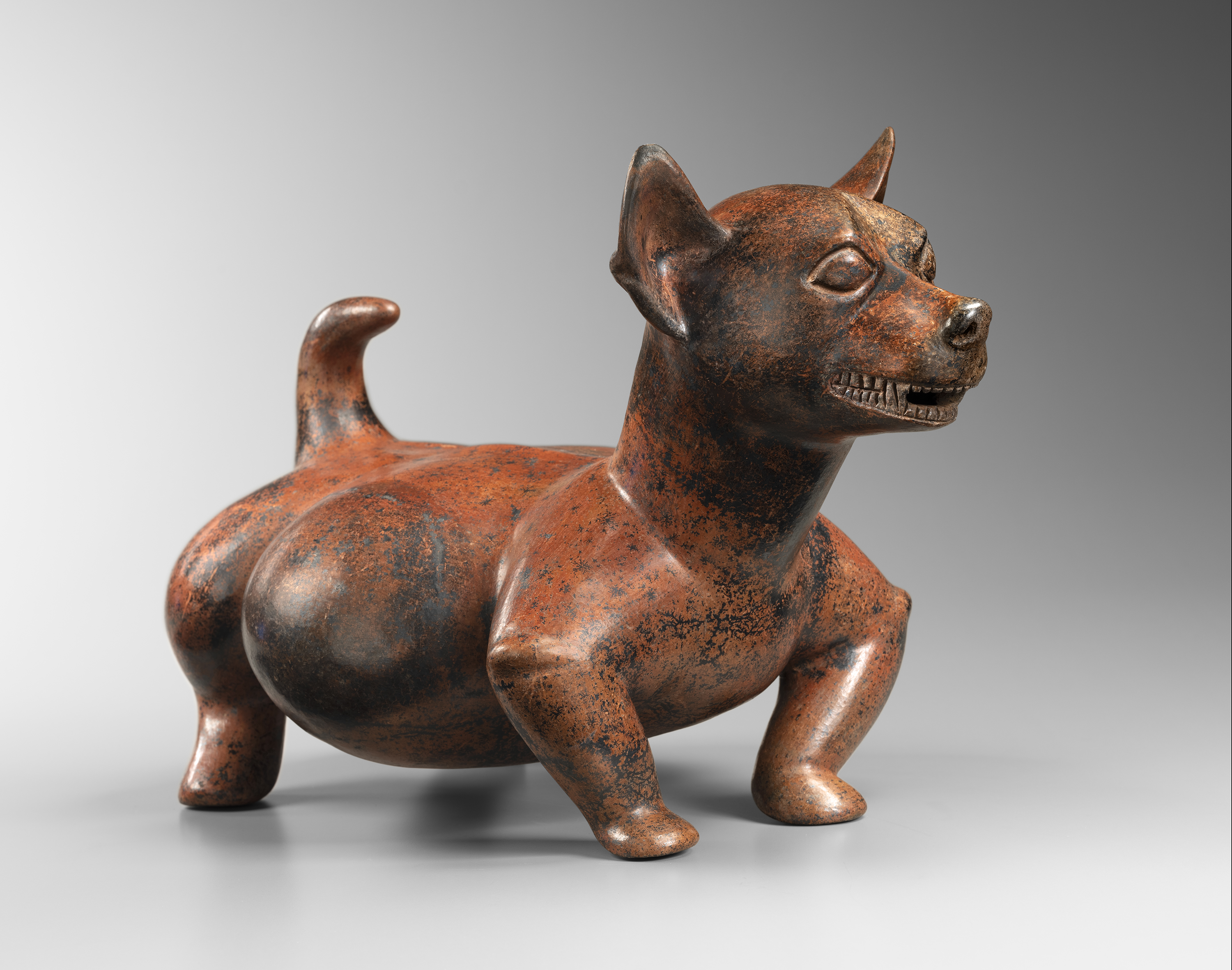 COLIMA  - Fattened Dog