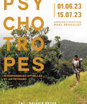 PSYCHOTROPES interférences rituelles et artistiques
