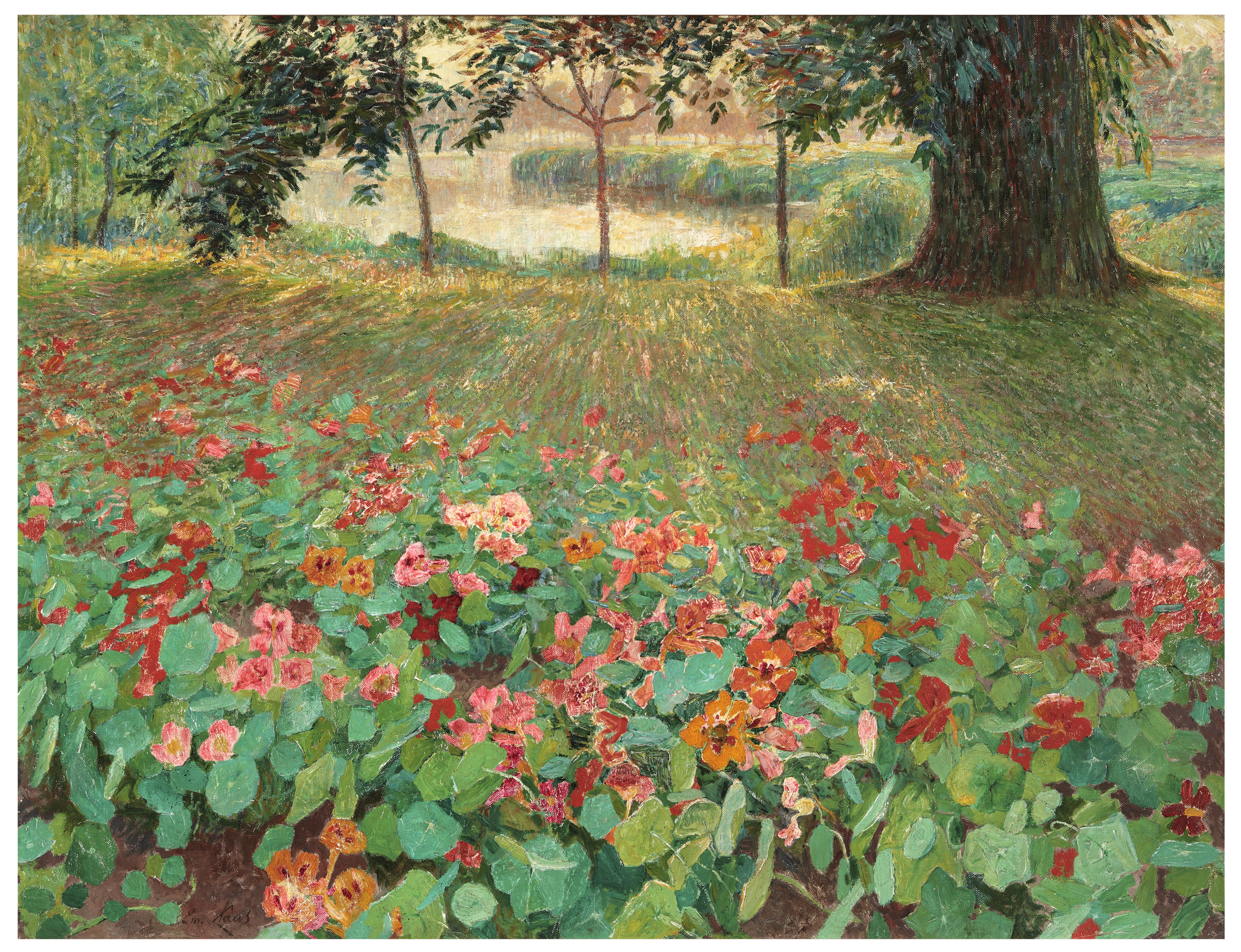 Nasturtium
