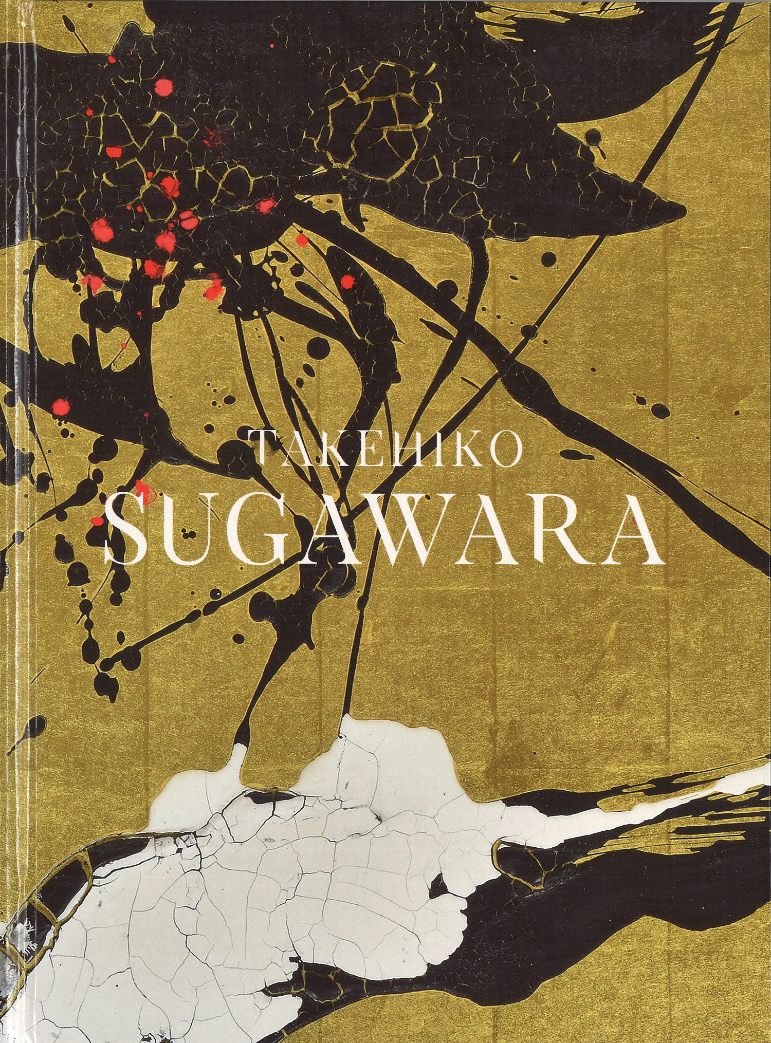 Takehiko Sugawara