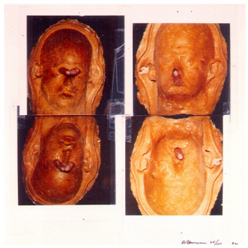 Untitled (New Museum Image), 1992