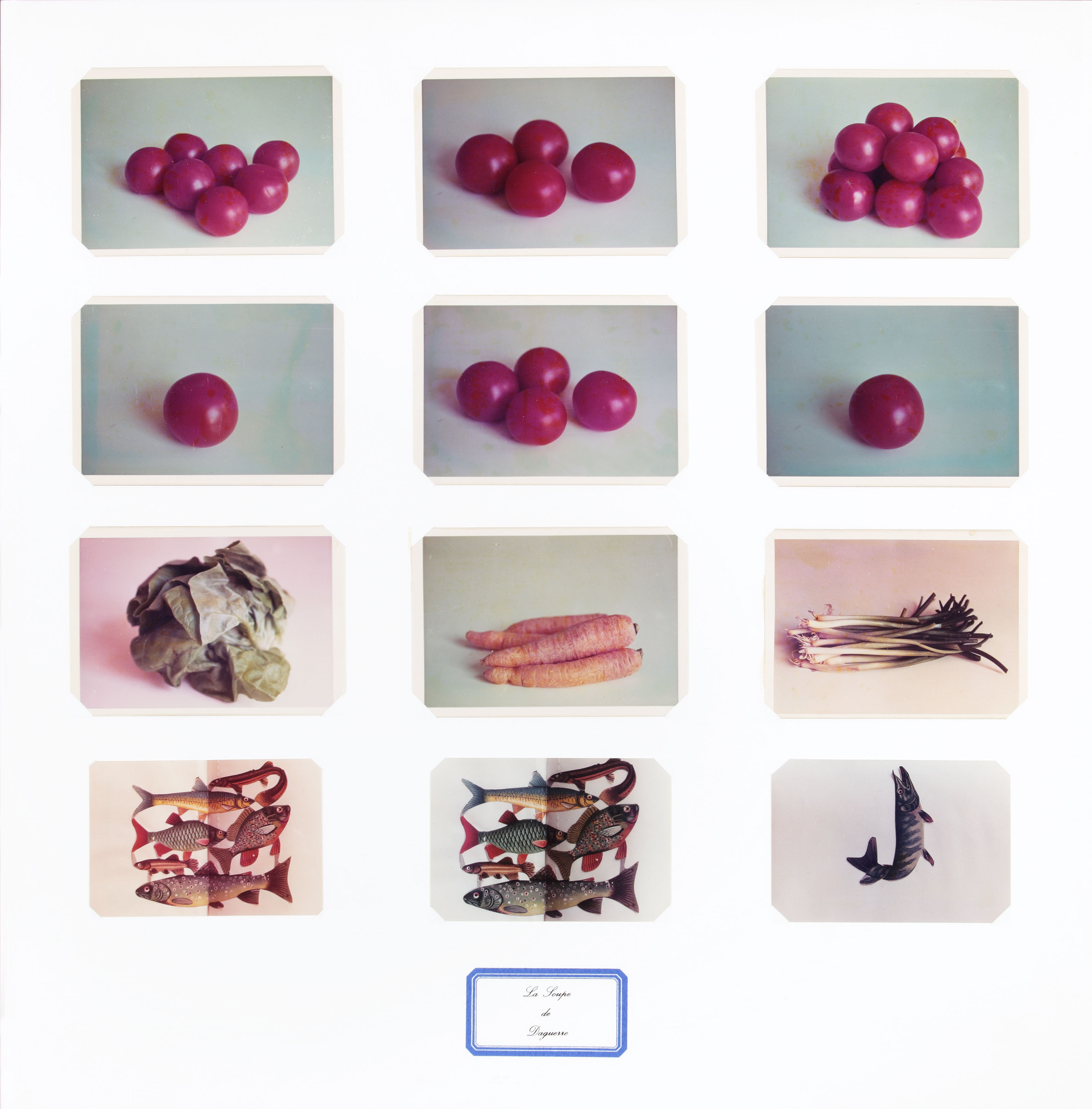 La Soupe de Daguerre, 1975