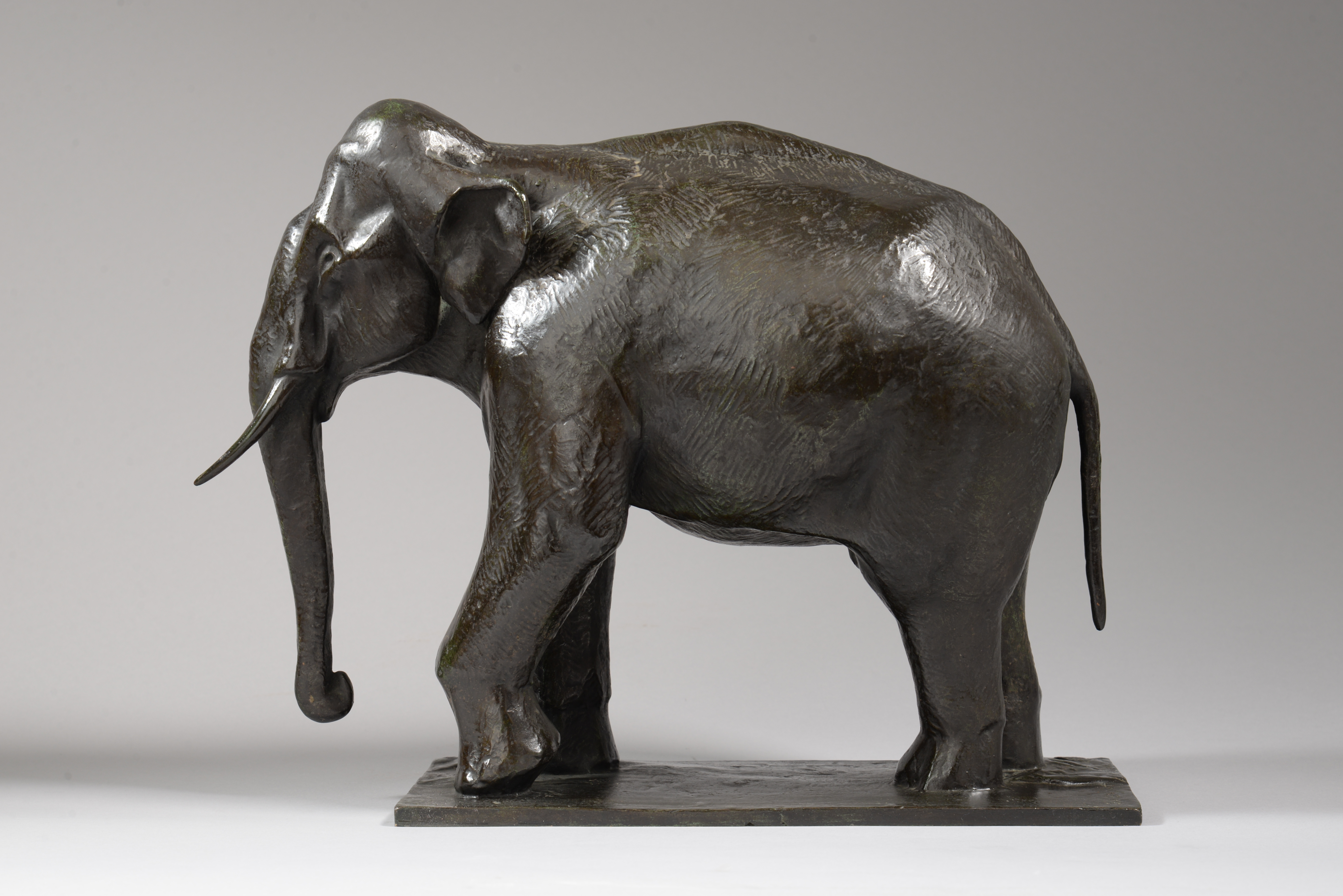 ÉLÉPHANT 

